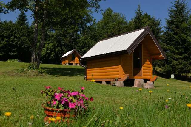 Кемпинги Camp Rabrenović Мойковац-11